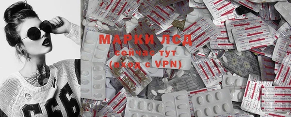 хмурый Алзамай
