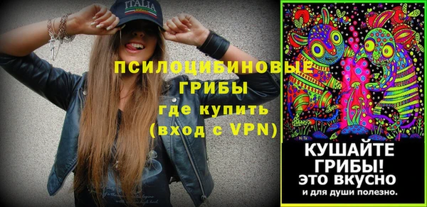 хмурый Алзамай