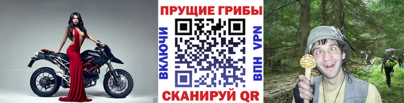Галлюциногенные грибы прущие грибы  Купить где  Баксан 